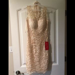Brand new lace dress
